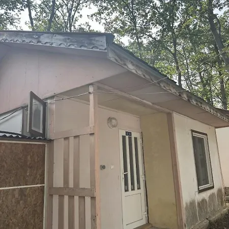 мишел * Varna