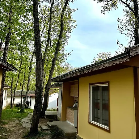 Campsite мишел